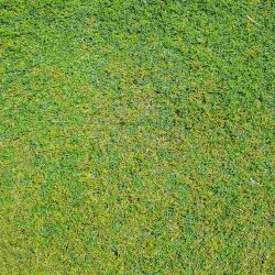 Зачимяване от UniGarden-BG.com